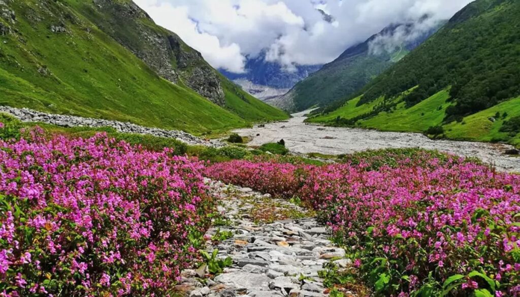 what is so special about uttarakhand
valley of flowers