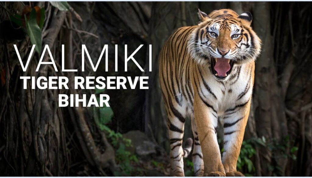 valmiki tiger reserve
what are the places to visit in bihar